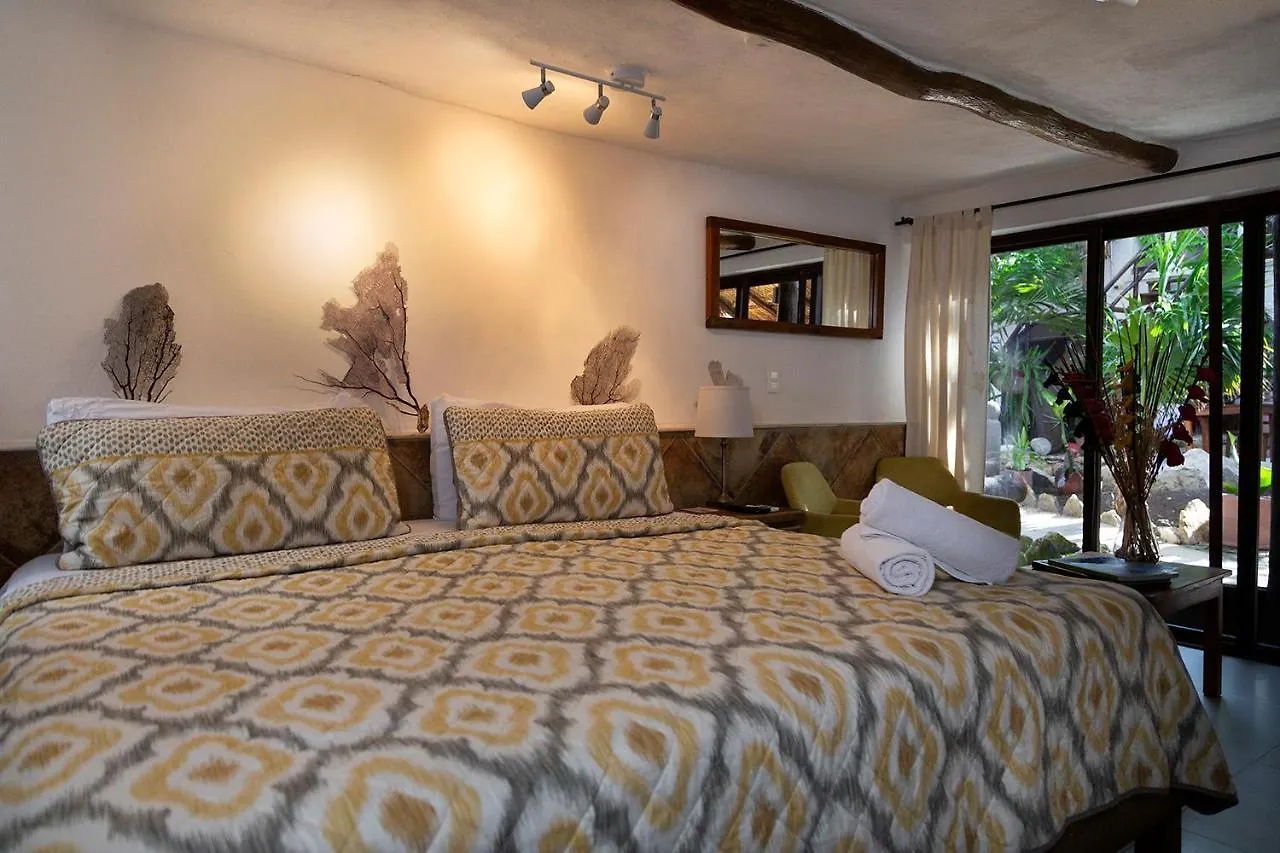 פוארטו מורלוס Hotel Amar Inn מקסיקו
