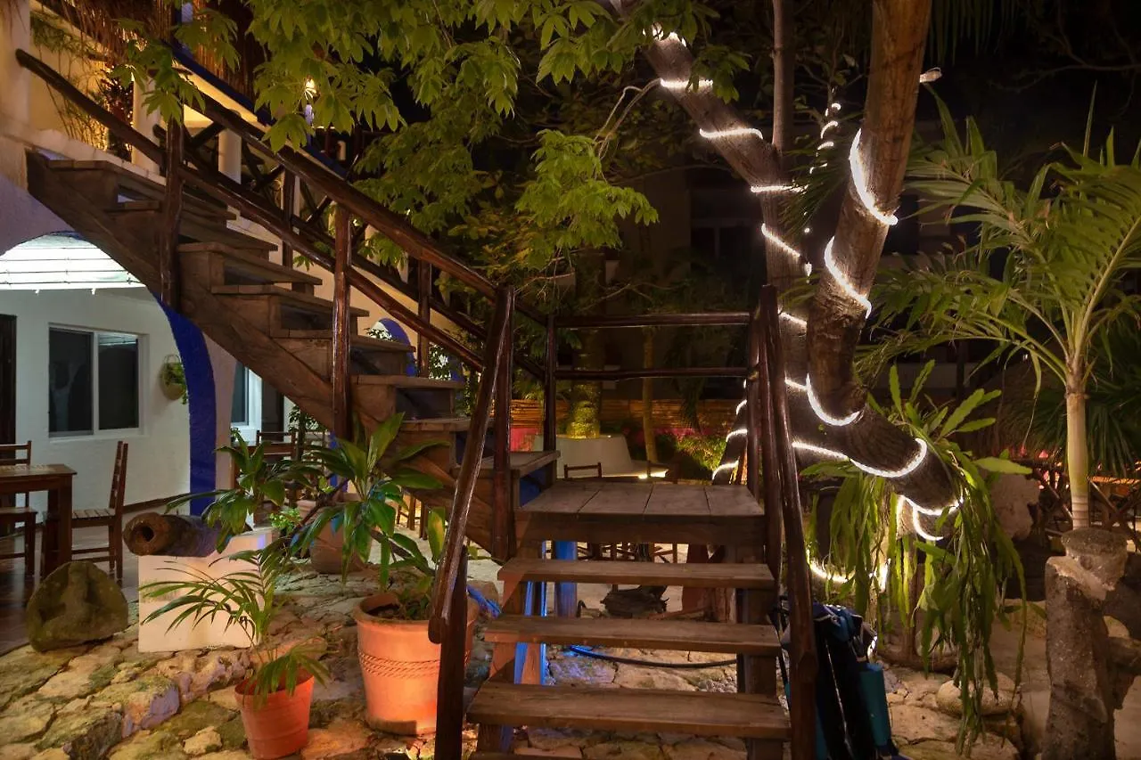 פוארטו מורלוס Hotel Amar Inn 2*, פוארטו מורלוס מקסיקו