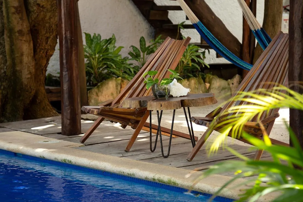 פוארטו מורלוס Hotel Amar Inn פוארטו מורלוס