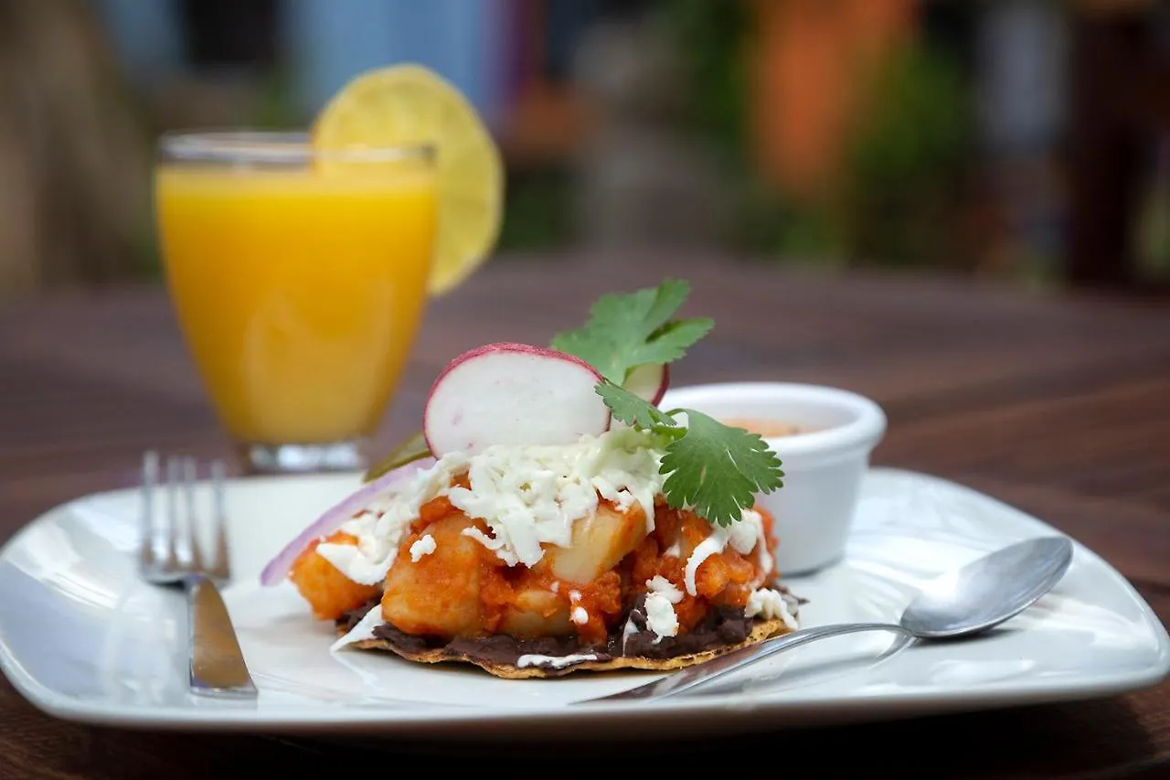 Hotel Amar Inn Puerto Morelos