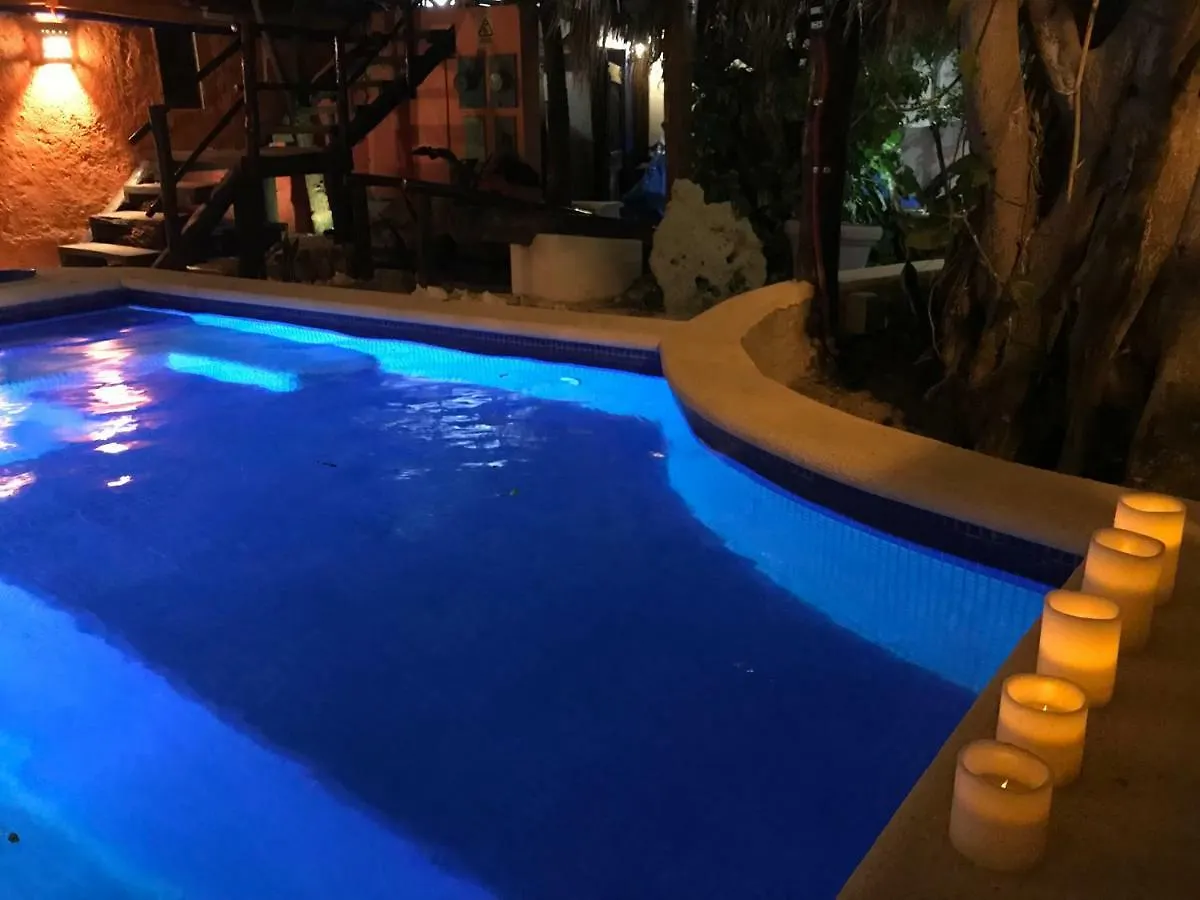 Hotel Amar Inn Puerto Morelos 2*,